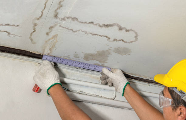 Reliable Mold Remediation contractor in Burnsville, NC by Water Damage Irwin